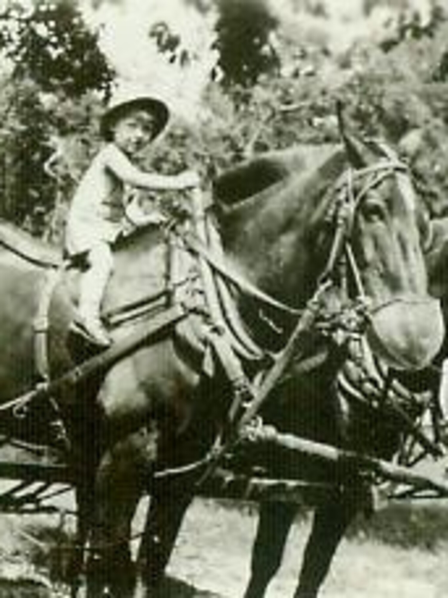erv_uecker